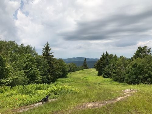 Worth Mountain 