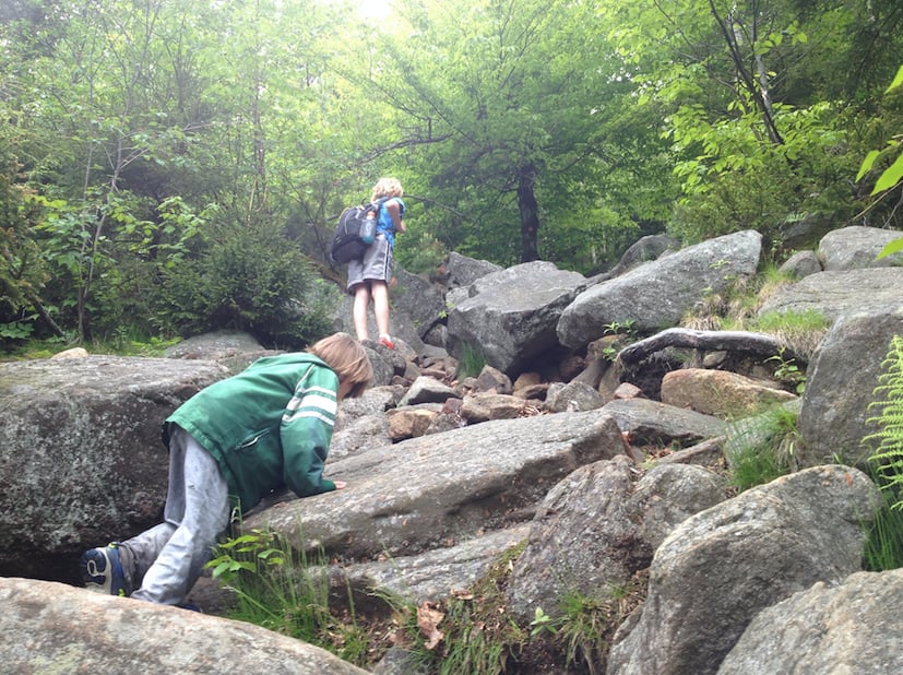 Crane Mountain