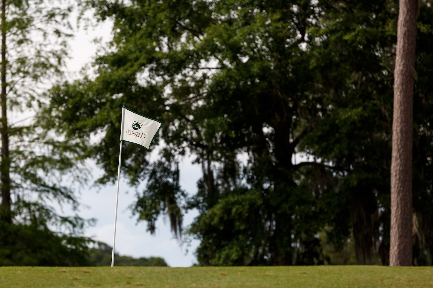 Oldfield Golf Club
