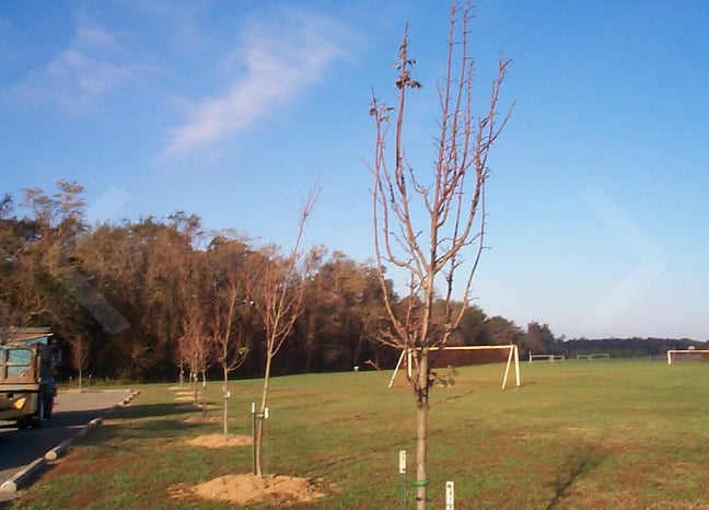 Roundtop Park 