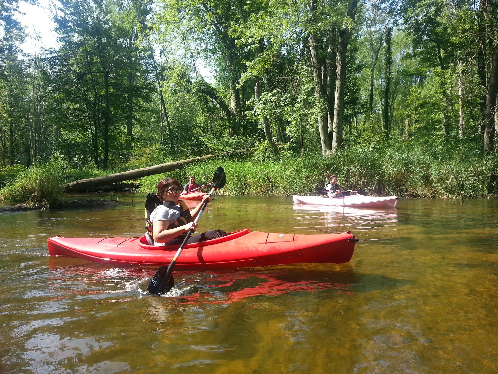 Pilgrim Haven Natural Area
