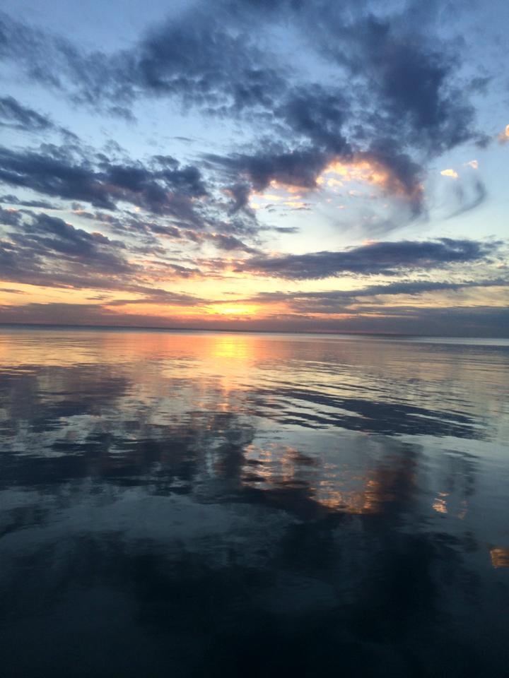 Reel Talk Sportfishing Charters