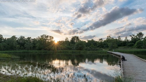 Lillie Park South