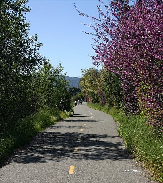 Los Gatos Creek Trail