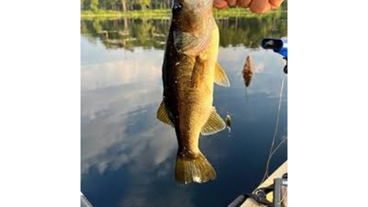 Big Muddy Lake
