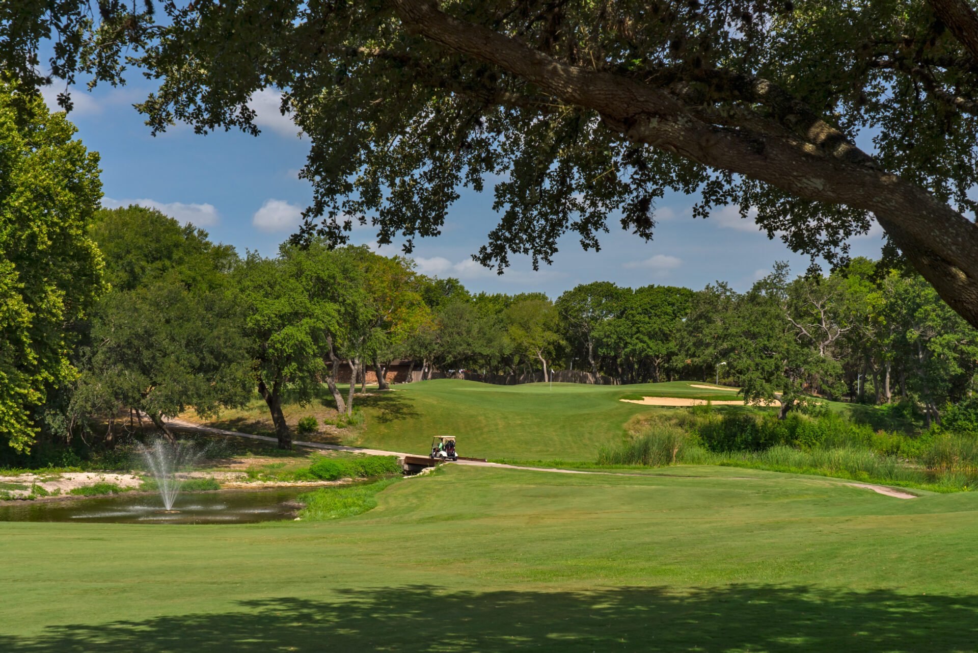 Forest Creek Golf Club