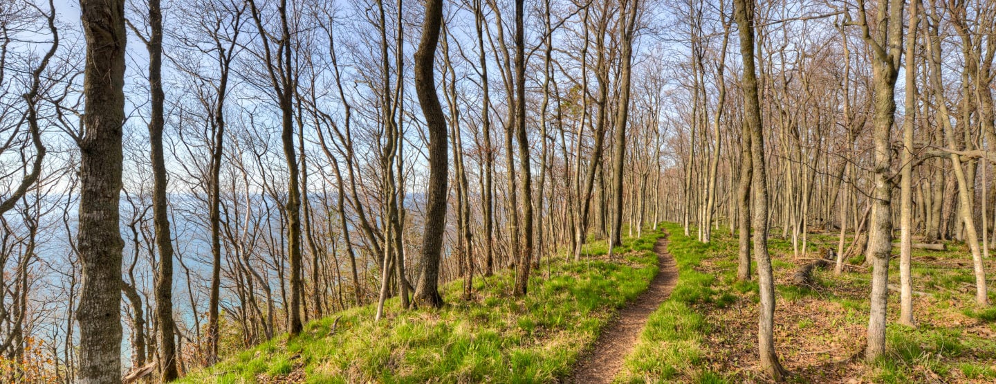Whaleback Natural Area