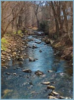 Rowlandsville Fishing Park