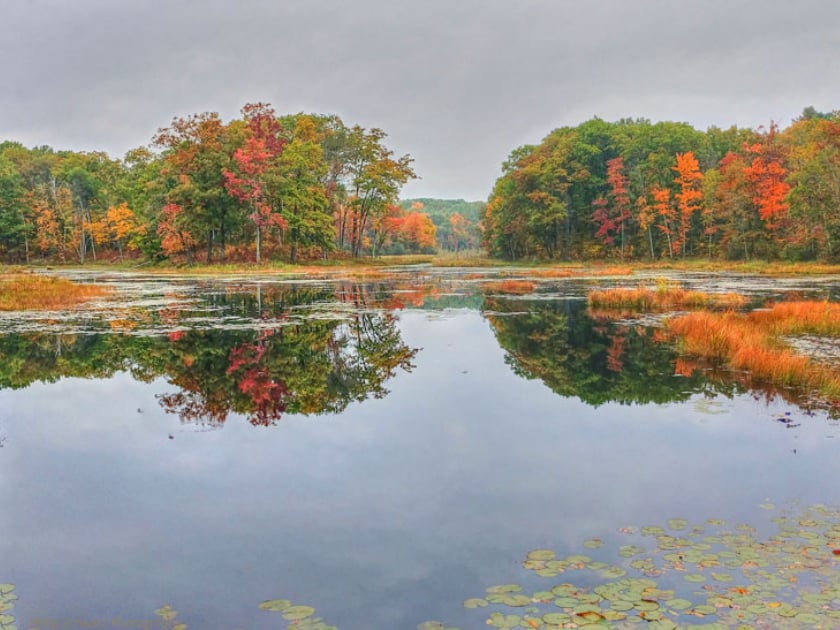 Chippewa County Forest