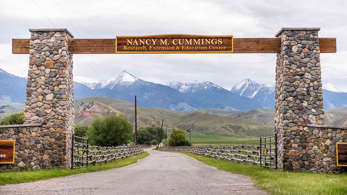 Nancy Cummings Park