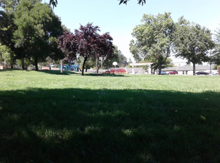 Martin Luther King Jr. Park 