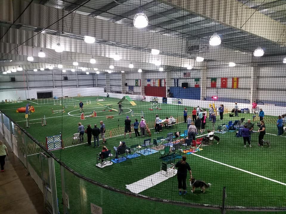 Arena Sports LLC