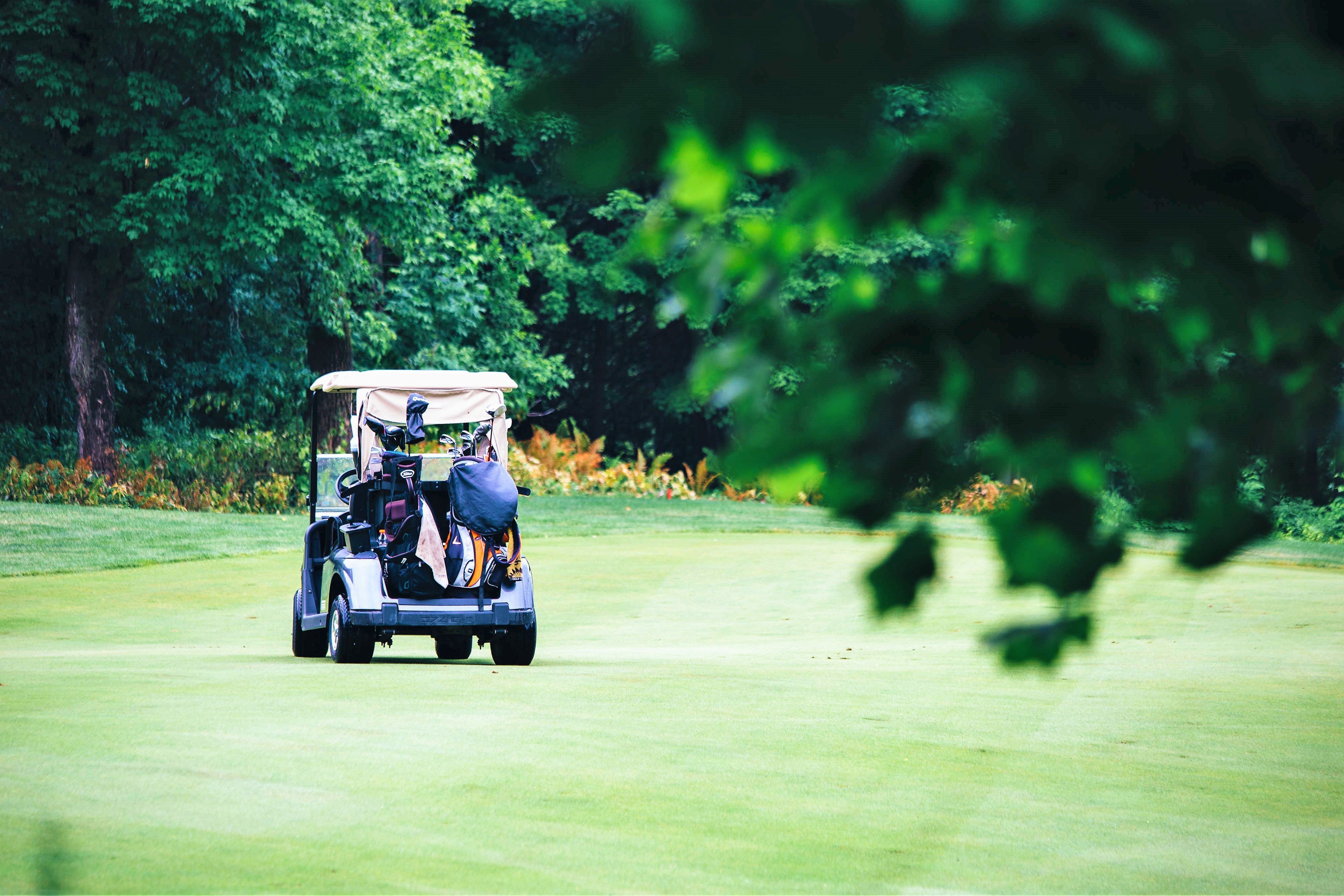 Back Creek Golf Club