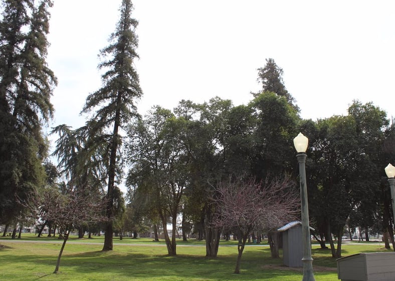 Mooney Groove Park
