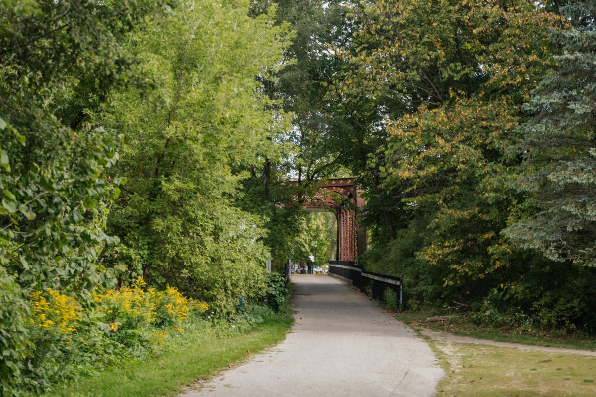 White Pine Trail