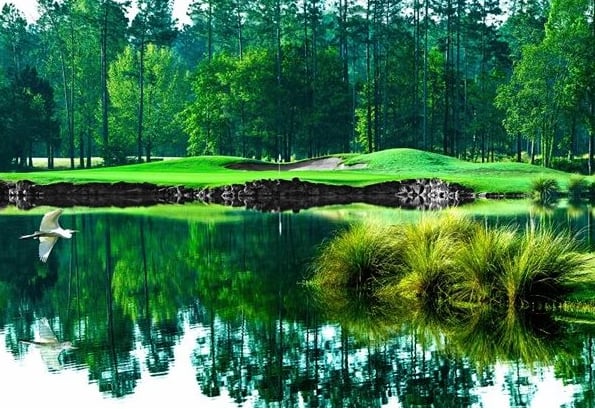 Golf Club at North Hampton