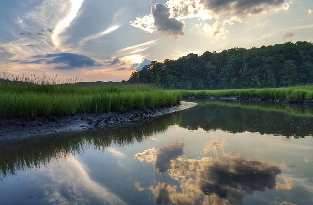 York River State Park
