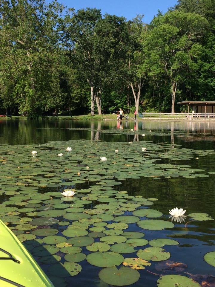 Chenango Valley State Park