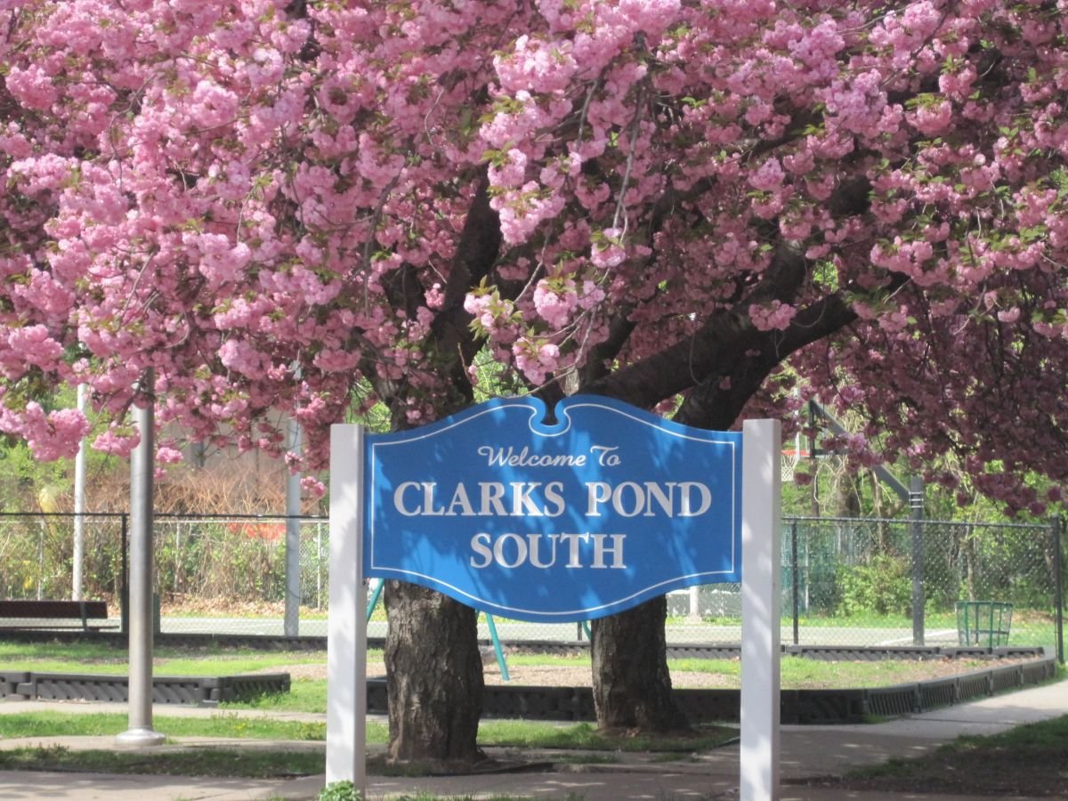 Clark's Pond