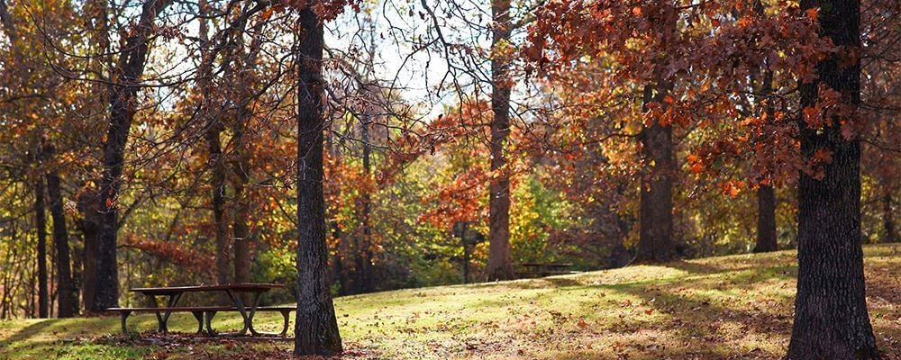 Ritter Springs Park