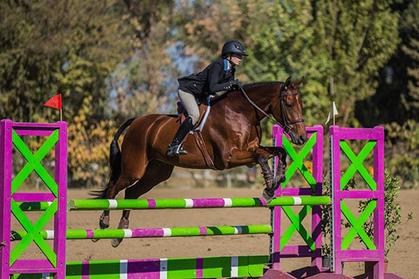 Brookside Equestrian