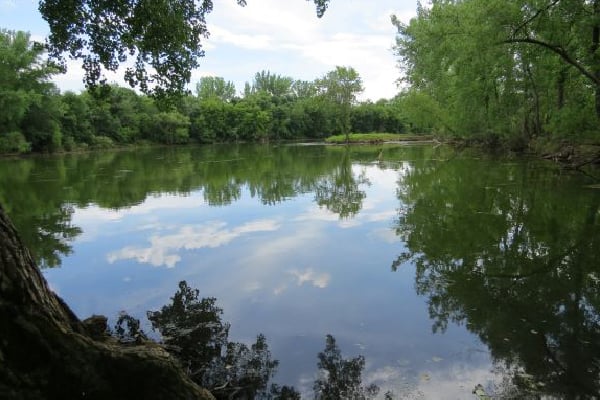 Kuhn Wildlife Area