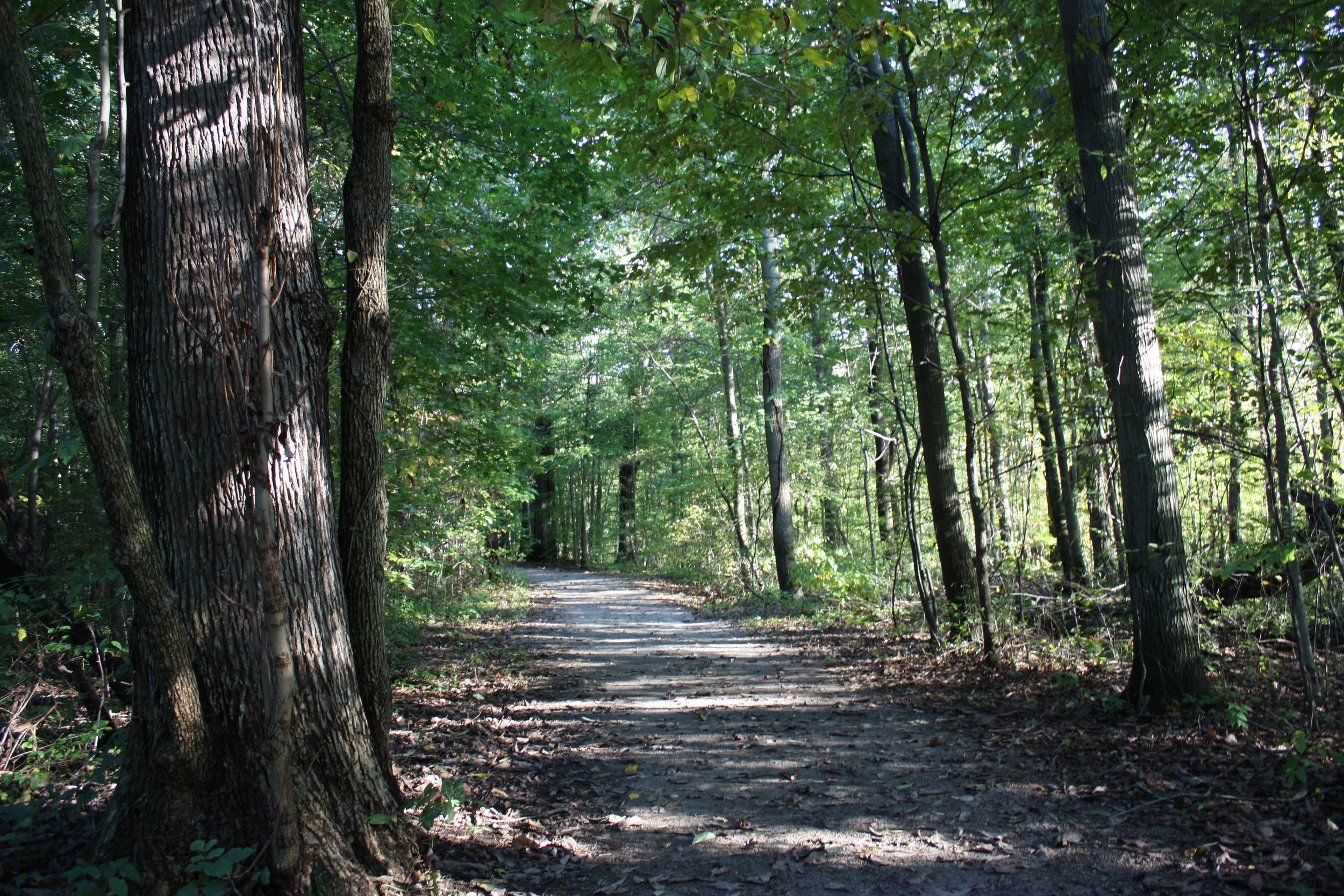 Indian Hollow Reservation