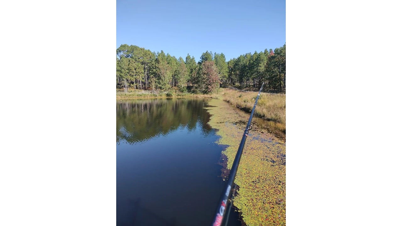Boundary Line Lake