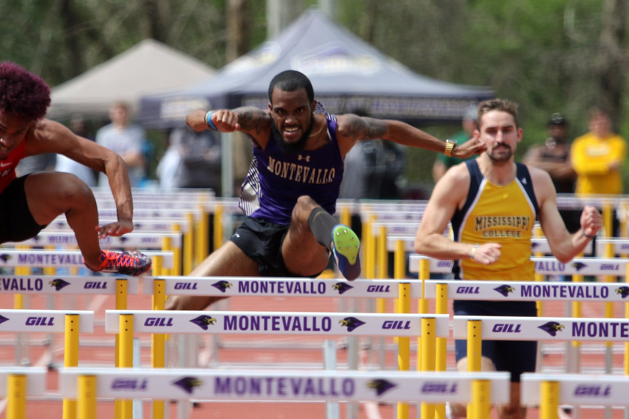 University of Montevallo