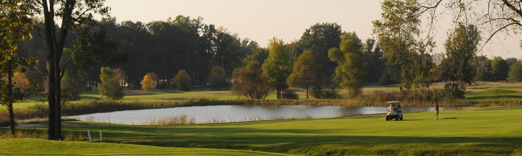 The Meadows