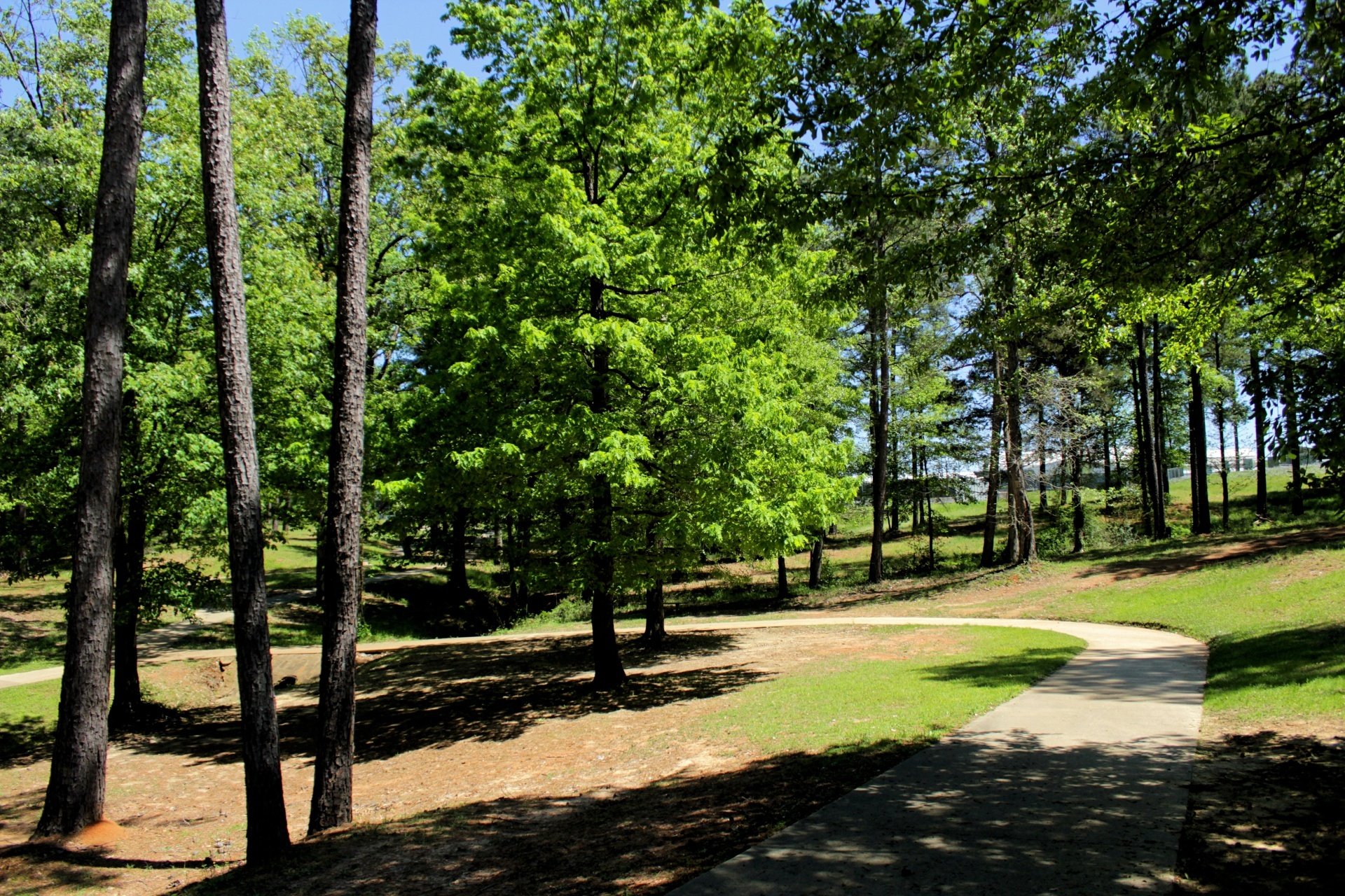 Forest Park & Recretional Area