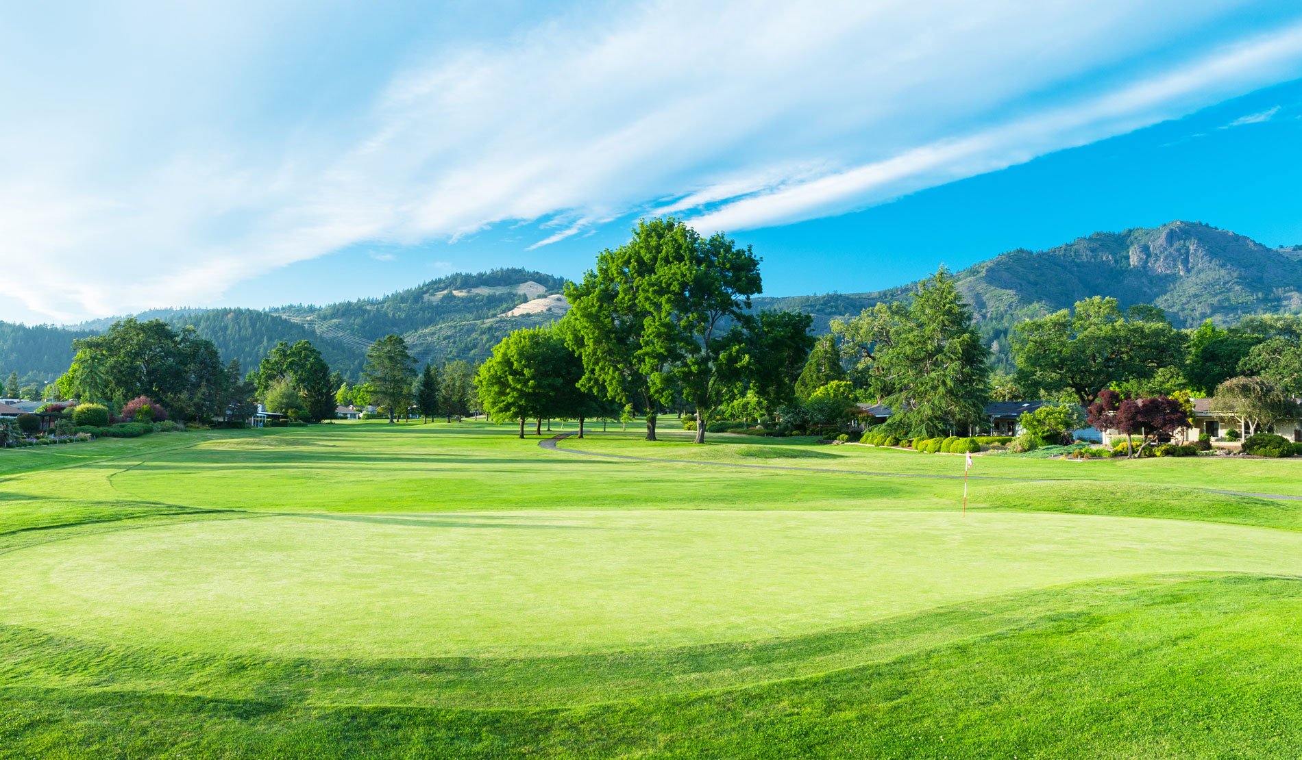 Valley of the Moon Club