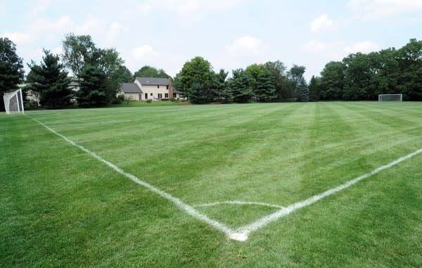 Clements Field