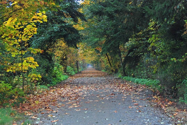 Cascade Trail