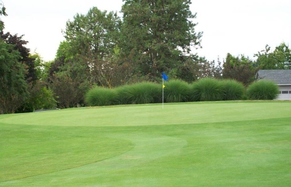 King City Golf Course