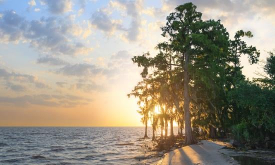 Fontainebleau State Park