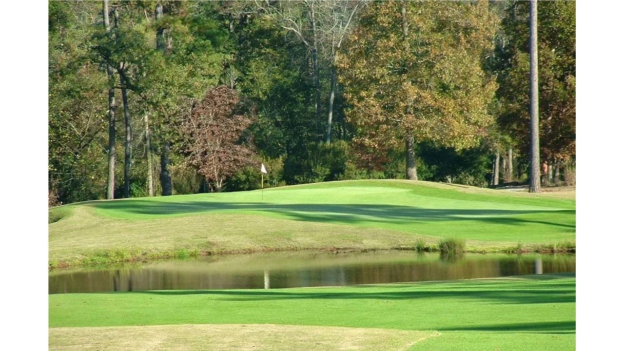 Bayonet at Puppy Creek