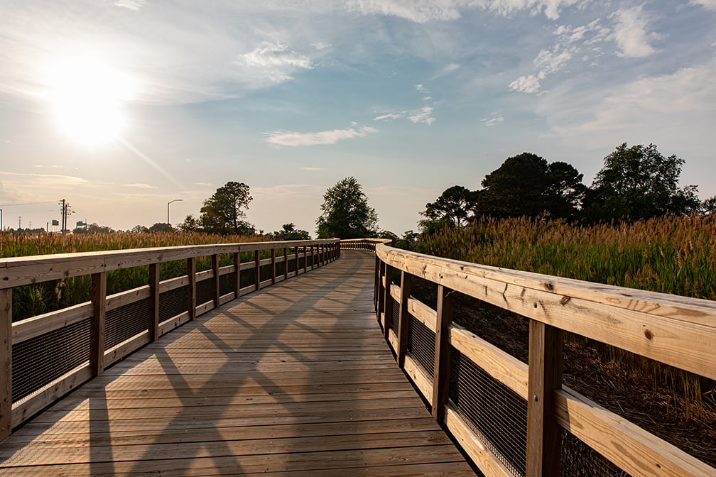 Cross Island Trail