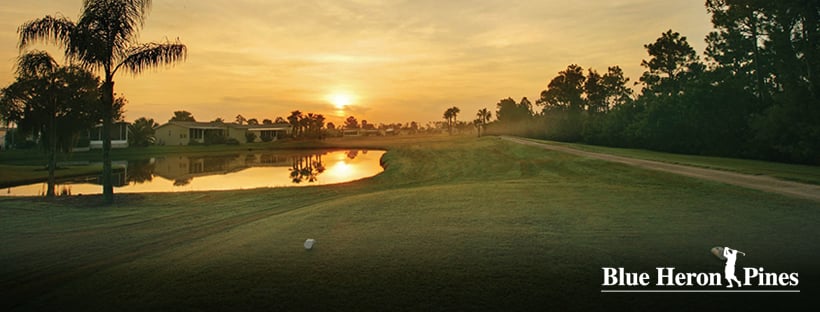 Blue Heron Pines Golf Course