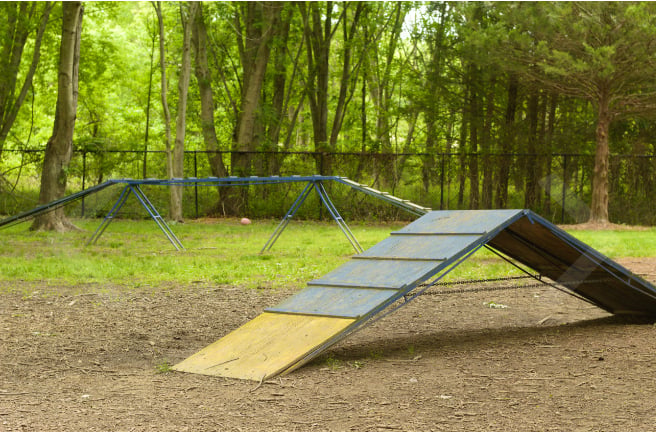 Kent Island Dog Park 