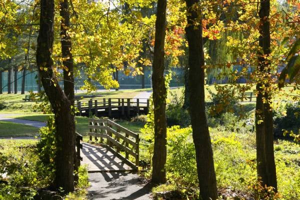 Whitney Pond Park