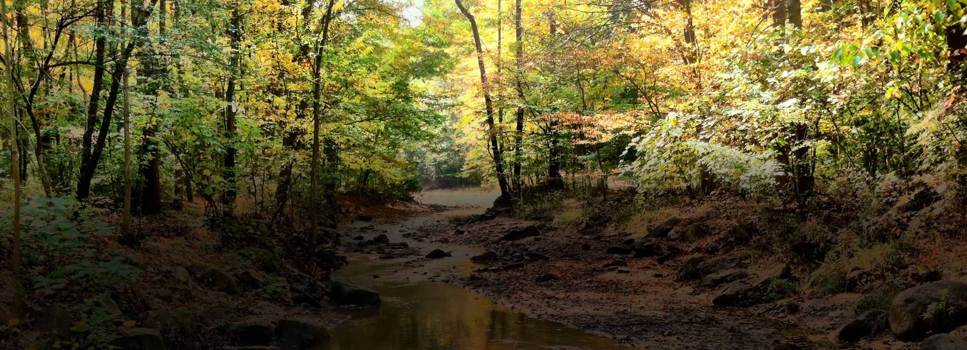 Summit Metro Parks