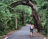 Amelia River To Sea Trail