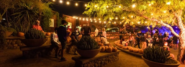THINGS TO DO IN TEMPE IN THE FALL