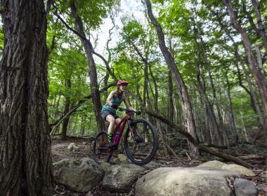 5 Facilities You Might Not Have Known About in Kalamazoo