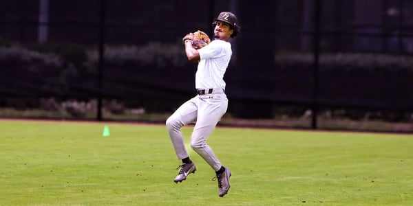 Baseball’s Economic Impact Extends Far Beyond Spring Training in The Palm Beaches