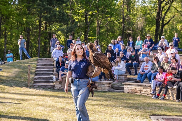War Eagle: The Tradition Behind Auburn’s Iconic Call