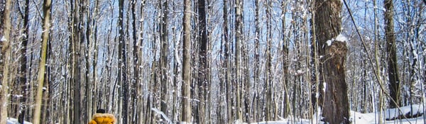 10 Places to Inspire Winter Adventures in Kalamazoo, MI