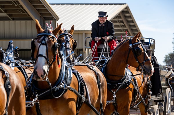 Big Ecomonic Impacts for the Horse Capital of the World- Ocala, FL