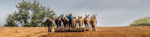 10 Things to do in Spring 2025 in Lancaster, PA!